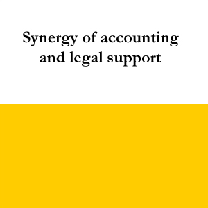 Synergy of accounting and legal support